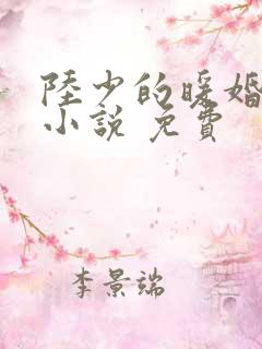 陆少的暖婚新妻小说 免费