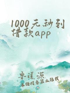 1000元秒到借款app