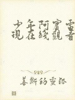 少年阿宾电影再现在线观看免费