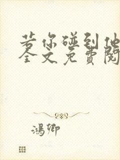 若你碰到他小说全文免费阅读