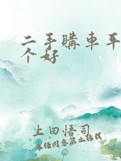 二手购车平台哪个好