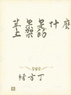 苹果是什么时候上架的