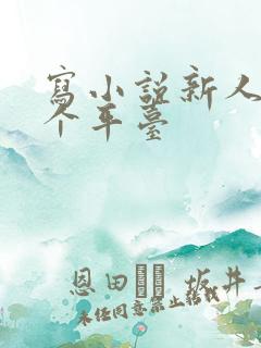 写小说新人去哪个平台