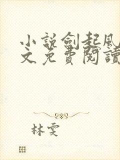 小说剑起风云全文免费阅读