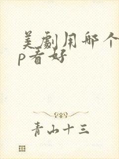 美剧用哪个app看好