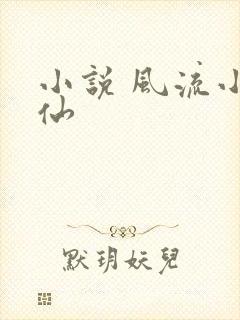 小说 风流小医仙