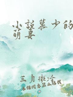 小说慕少的心尖萌妻