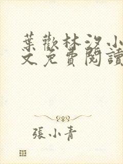 叶欢林汐小说全文免费阅读