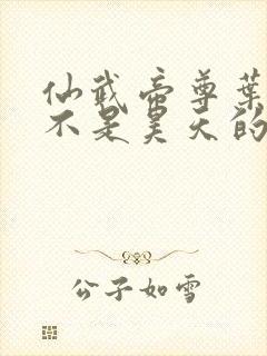 仙武帝尊叶辰是不是昊天的儿子