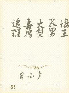 追妻火葬场短篇推荐双男主