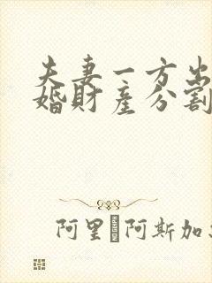 夫妻一方出轨离婚财产分割