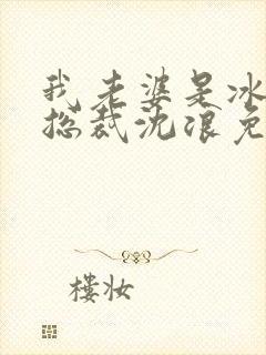 我老婆是冰山女总裁沈浪免费阅读