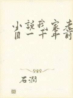 小说我家老婆来自一千年前txt下载