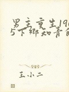 男主重生1965下乡知青的小说