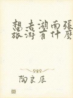 想去湖南张家界旅游有什么必去的经典景点