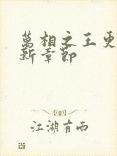 万相之王更新最新章节