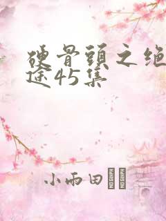 硬骨头之绝地归途45集