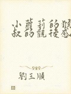 小萝莉的猴神大叔的观后感