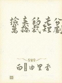 捡来的老公是亿万总裁短剧