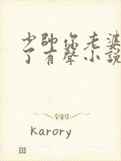 少帅你老婆又跑了有声小说版