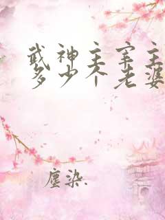 武神主宰主角有多少个老婆