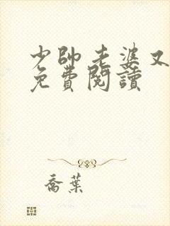 少帅老婆又跑了免费阅读