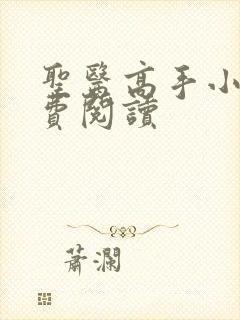 圣医高手小说免费阅读