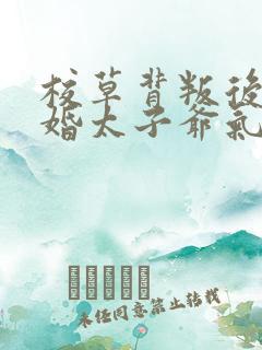 校草背叛后我闪婚太子爷气疯他时逾白全文