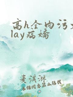 高h全肉污文play病娇