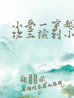 小受一穿越后被攻三捡到小说推荐