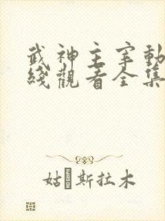 武神主宰动漫在线观看全集免费观看