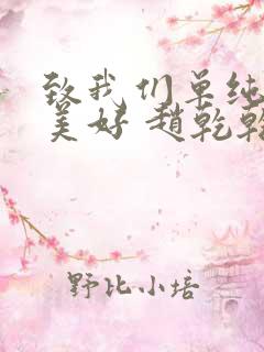 致我们单纯的小美好 赵乾乾