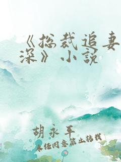 《总裁追妻套路深》小说