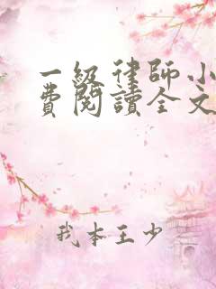 一级律师小说免费阅读全文