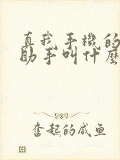 真我手机的语音助手叫什么