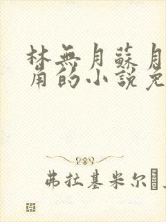 林无月苏月灵主角的小说免费阅读