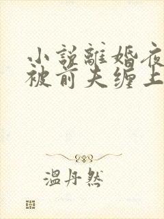 小说离婚夜,我被前夫缠上了txt