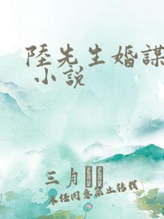 陆先生婚谋已久 小说