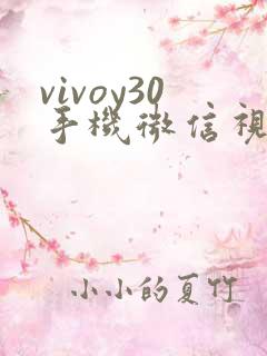 vivoy30手机微信视频美颜