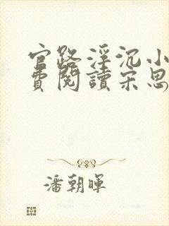 官路浮沉小说免费阅读宋思铭,叶如云