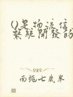 ()是物流信息系统开发的关键环节