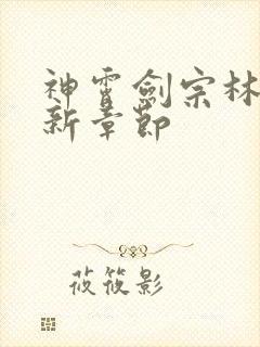 神霄剑宗林枫最新章节