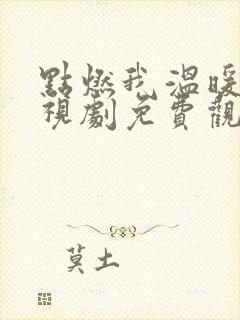 点燃我温暖你电视剧免费观看全集