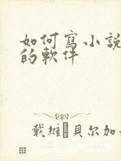 如何写小说挣钱的软件