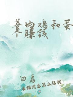 养肉鸡和蛋鸡哪个赚钱