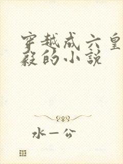 穿越成六皇子赵毅的小说