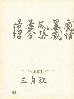 扫毒风暴剧情介绍分集剧情电视猫