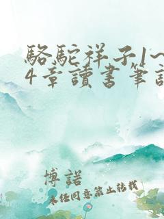 骆驼祥子1~24章读书笔记