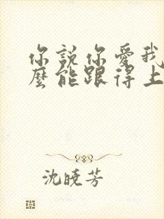 你说你爱我我怎么能跟得上你是什么歌