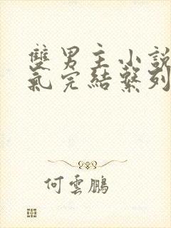 双男主小说一口气完结系列